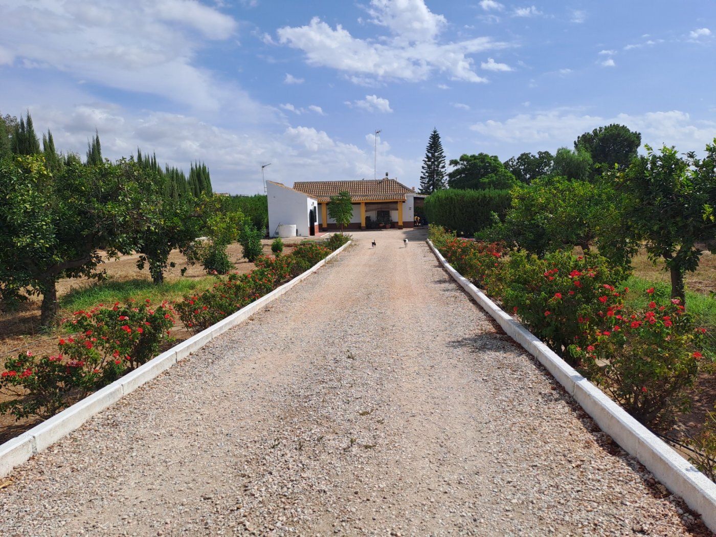 Casas o chalets-Venta-Cantillana-2036150-Foto-8