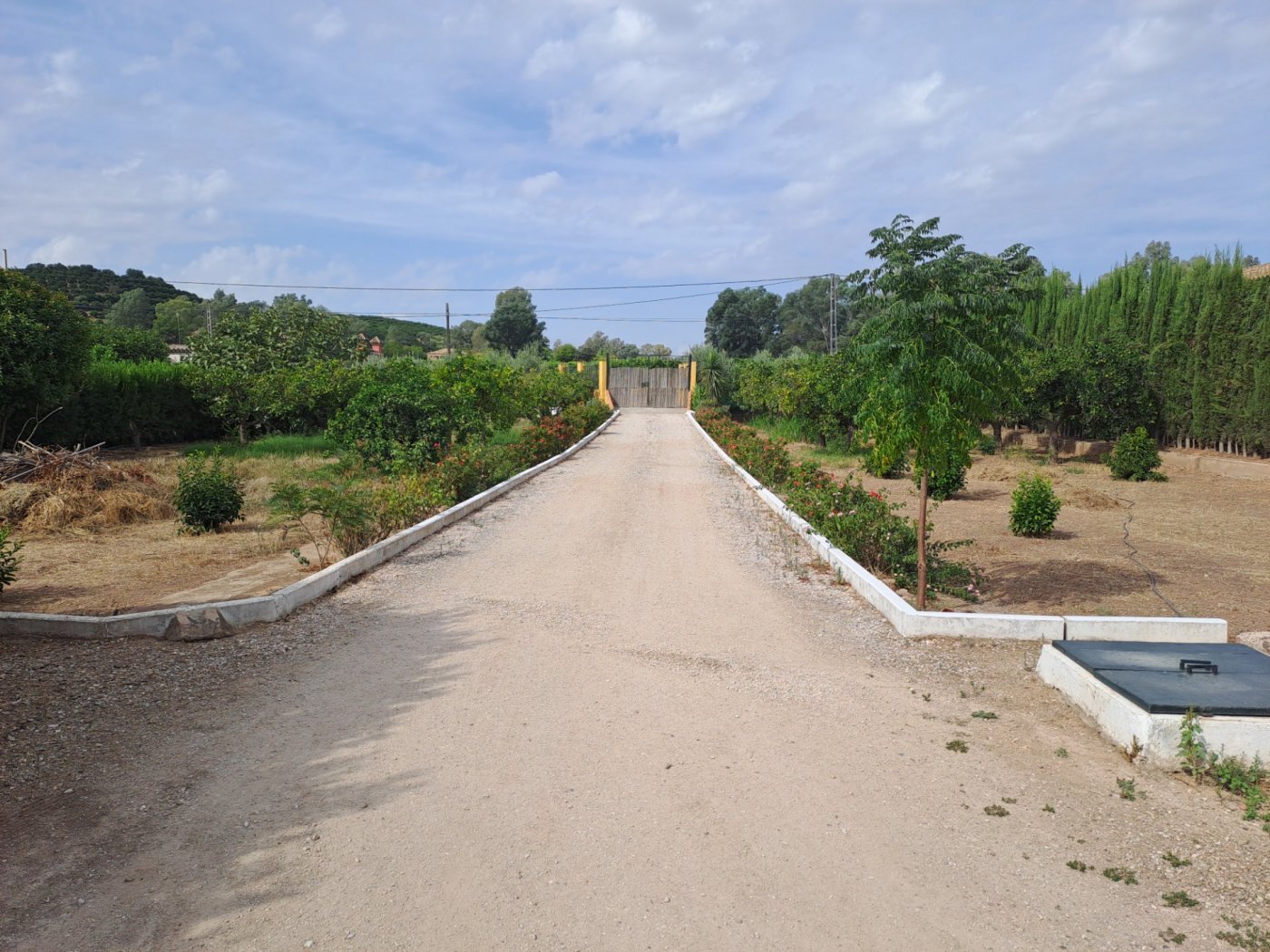 Casas o chalets-Venta-Cantillana-2036150-Foto-7