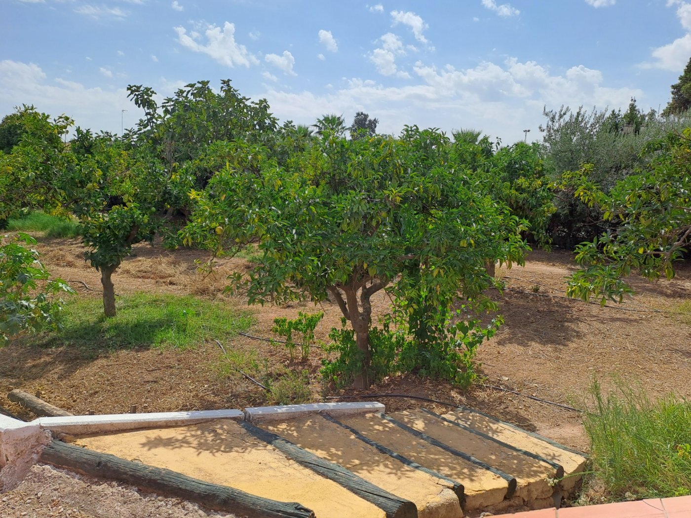 Casas o chalets-Venta-Cantillana-2036150-Foto-9