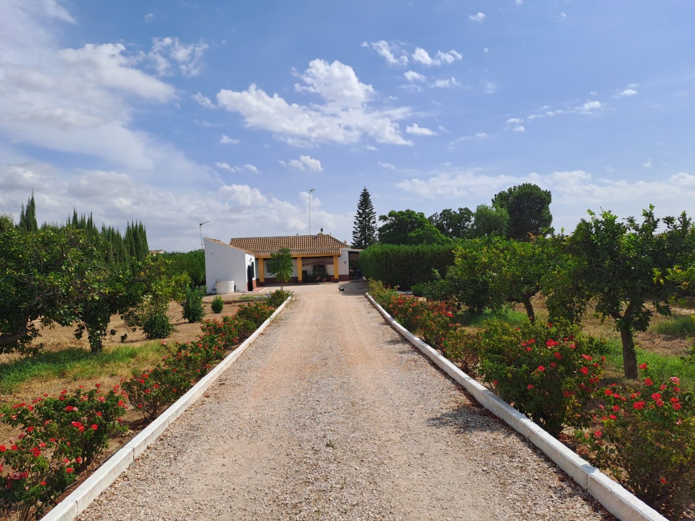 Casas o chalets-Venta-Cantillana-2036150-Foto-11