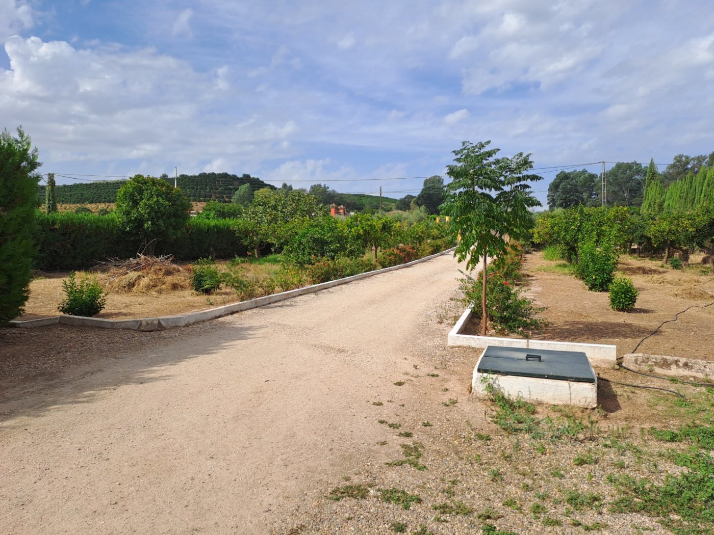 Casas o chalets-Venta-Cantillana-2036150-Foto-13