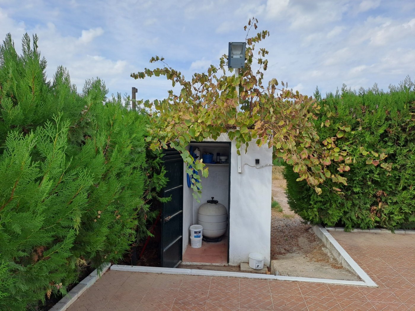 Casas o chalets-Venta-Cantillana-2036150-Foto-43