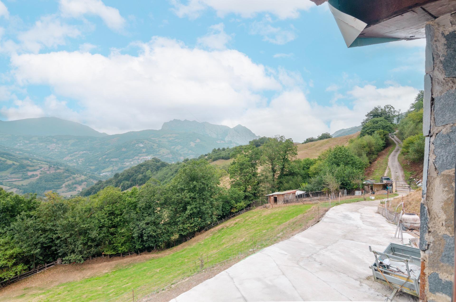 Casas o chalets-Venta-Riosa-2016104-Foto-33