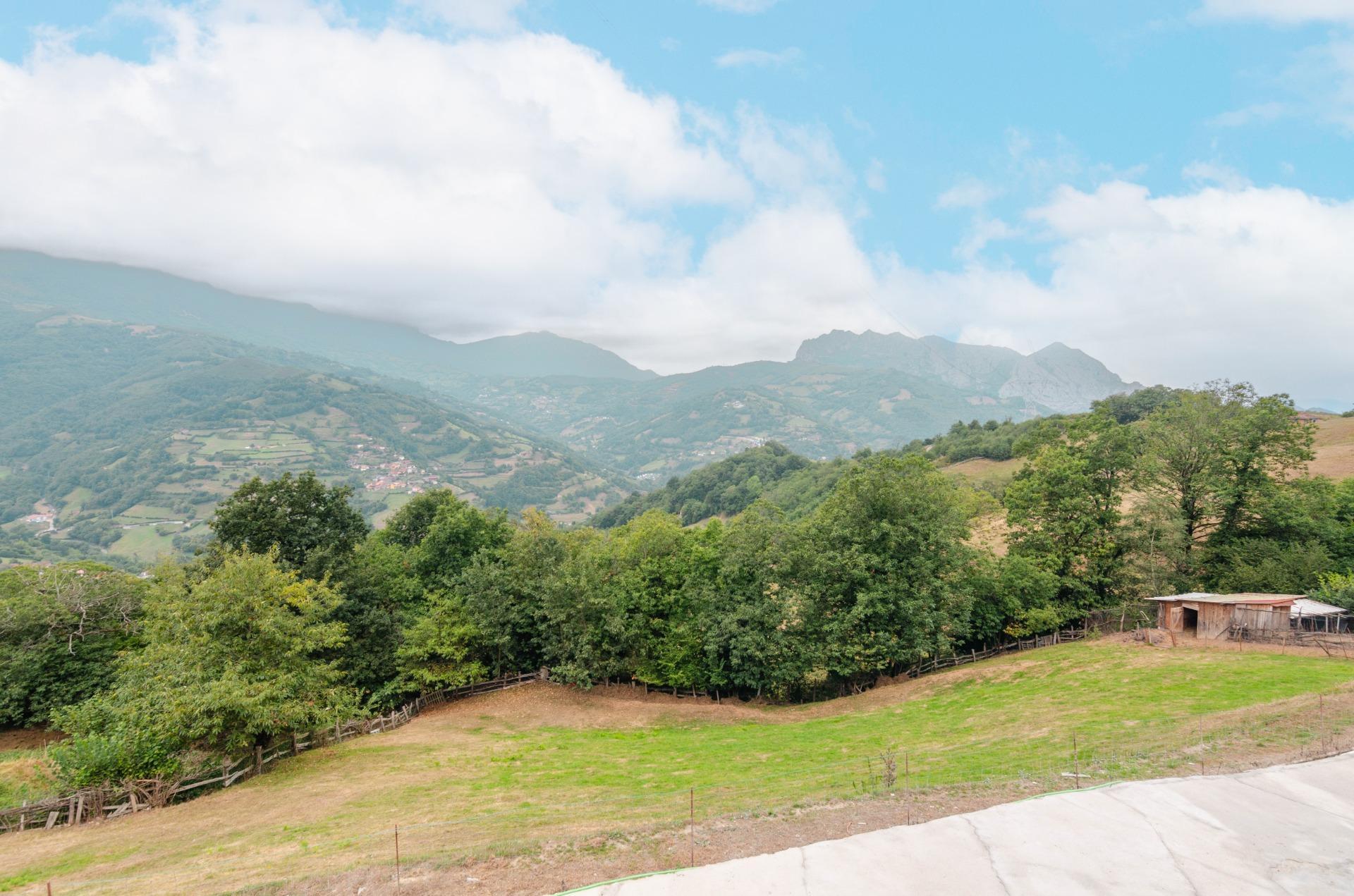 Casas o chalets-Venta-Riosa-2016104-Foto-36