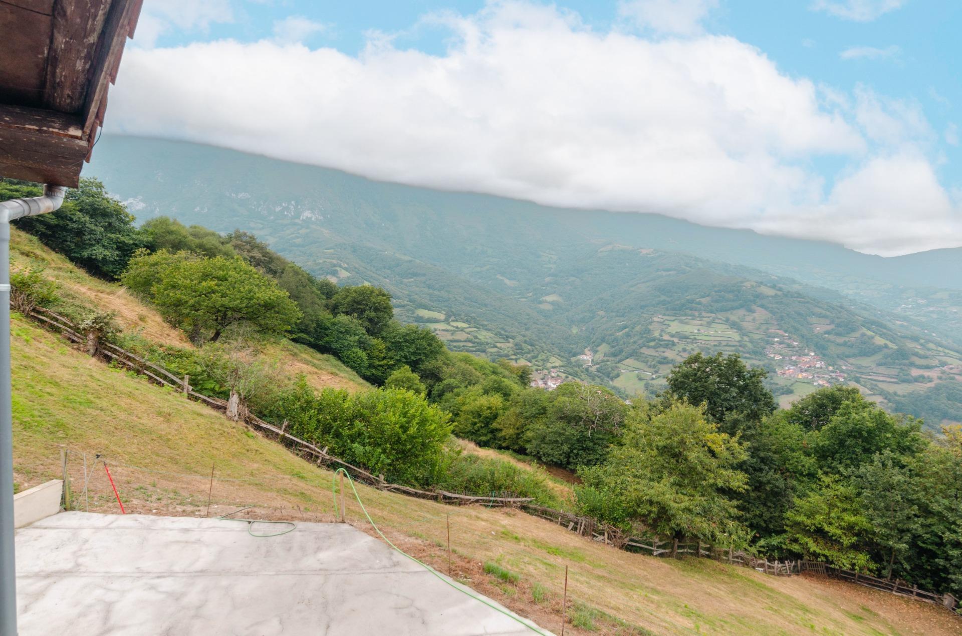 Casas o chalets-Venta-Riosa-2016104-Foto-34