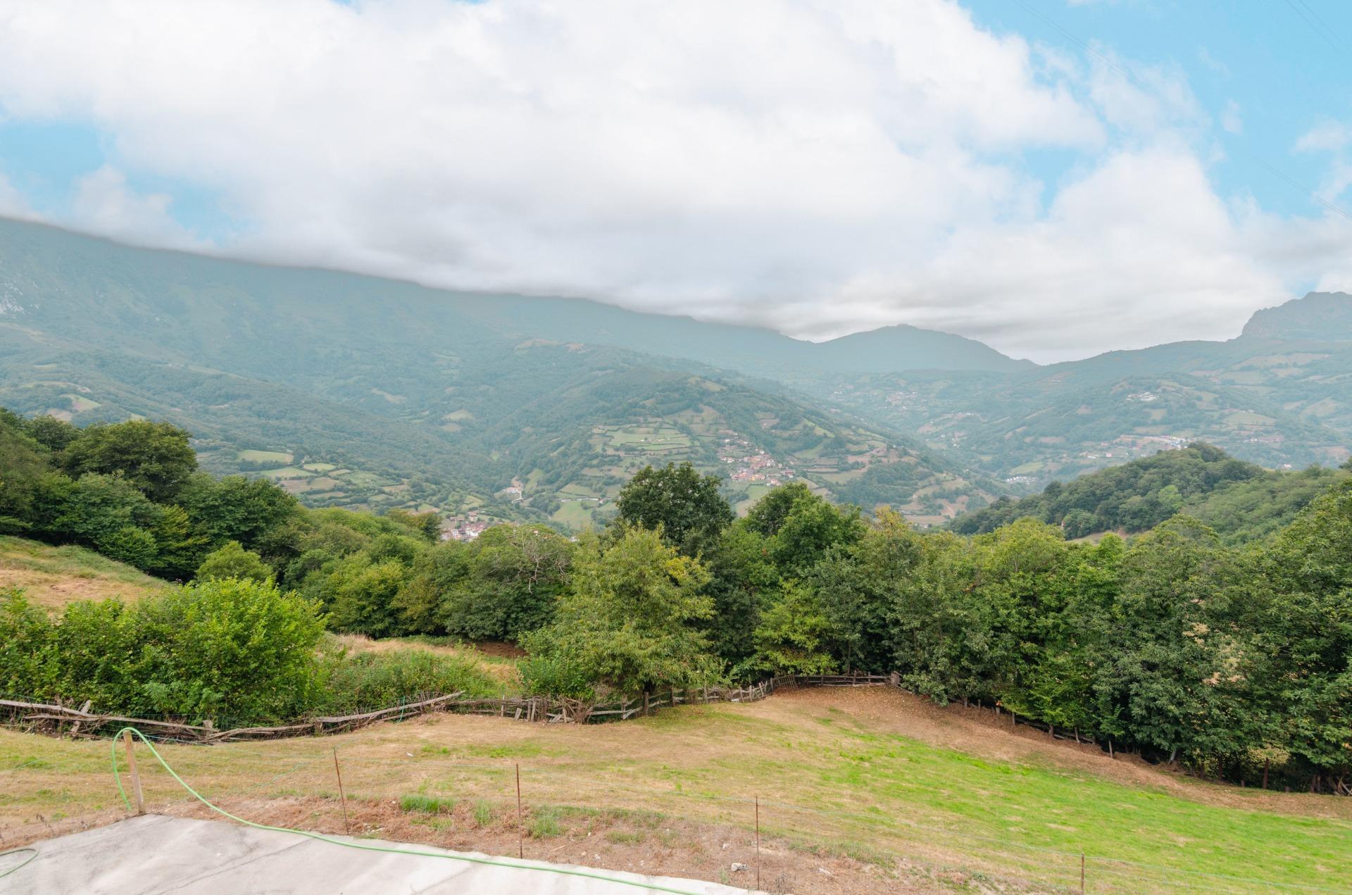 Casas o chalets-Venta-Riosa-2016104-Foto-35