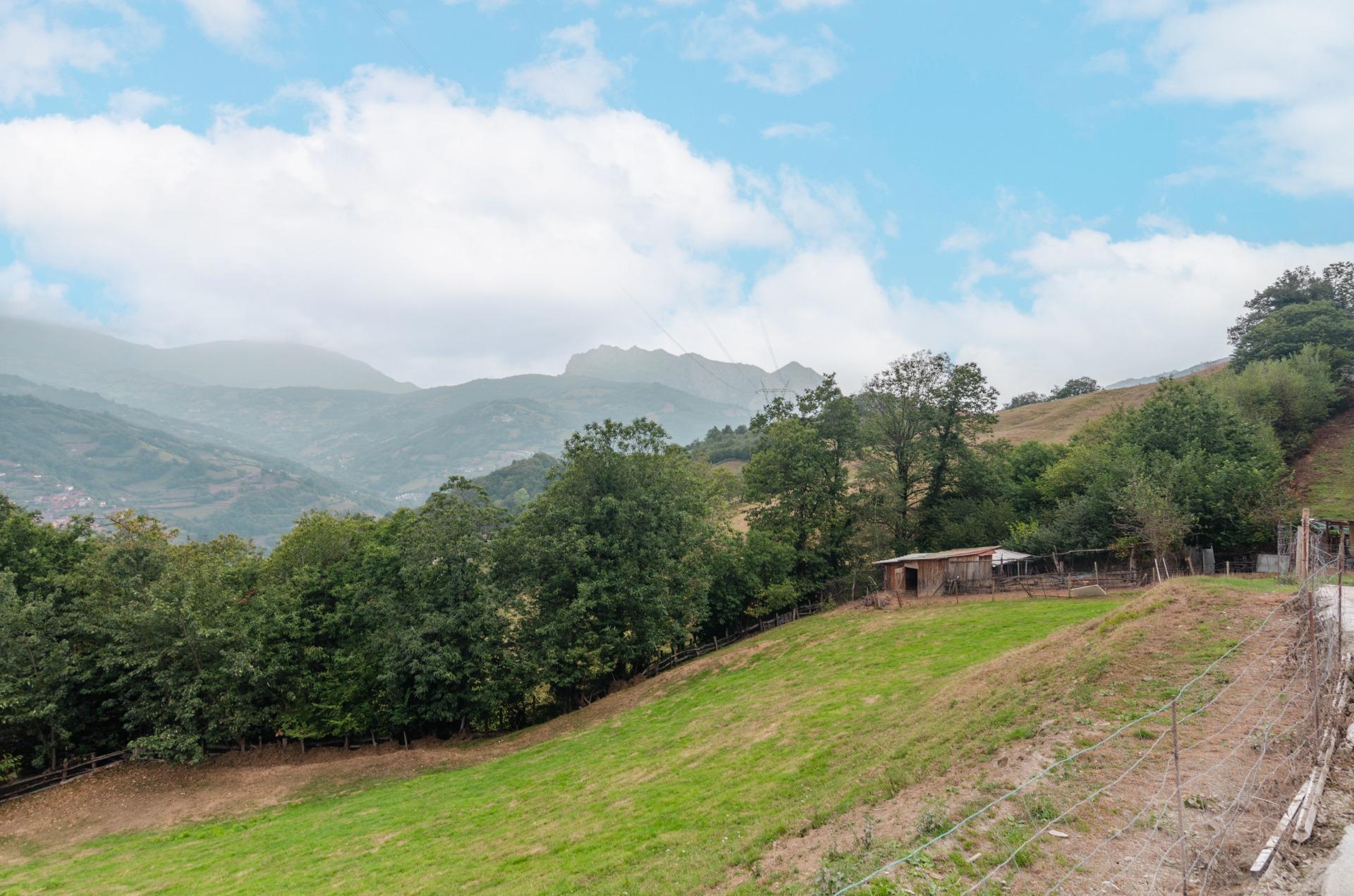 Casas o chalets-Venta-Riosa-2016104-Foto-38