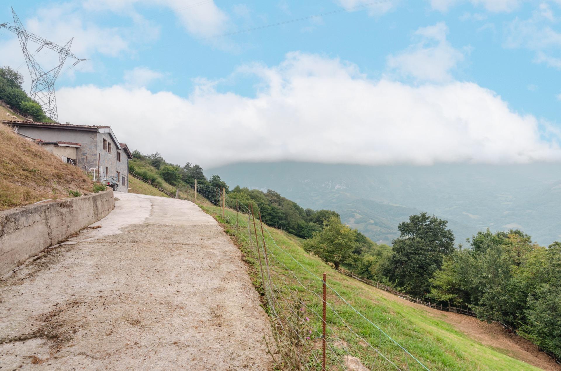 Casas o chalets-Venta-Riosa-2016104-Foto-39