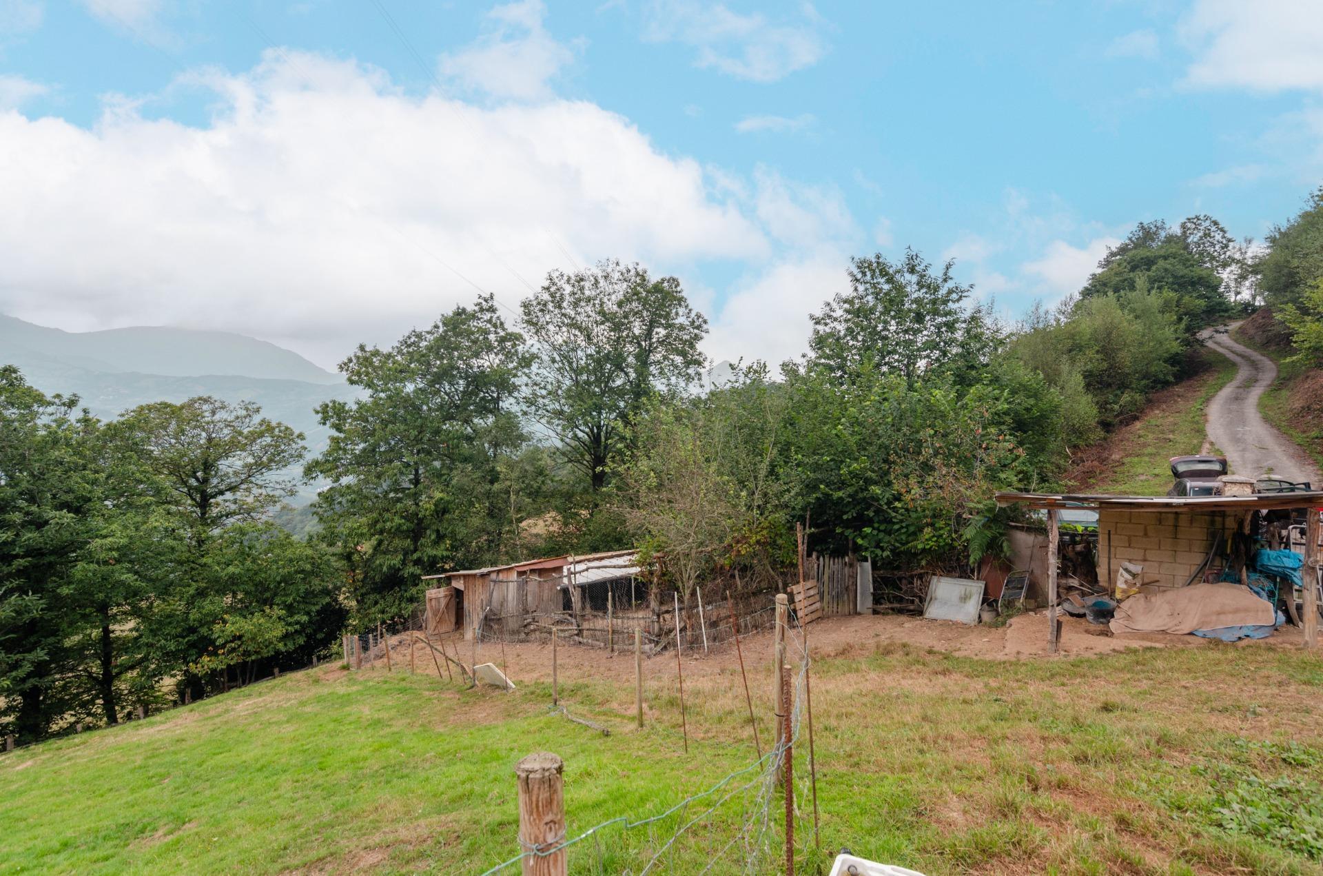 Casas o chalets-Venta-Riosa-2016104-Foto-46