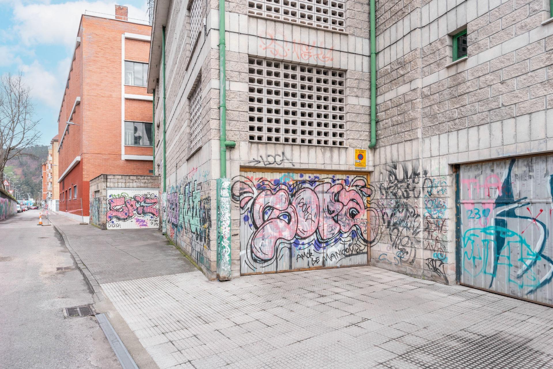 Garajes-Venta-Mieres-1068582-Foto-11