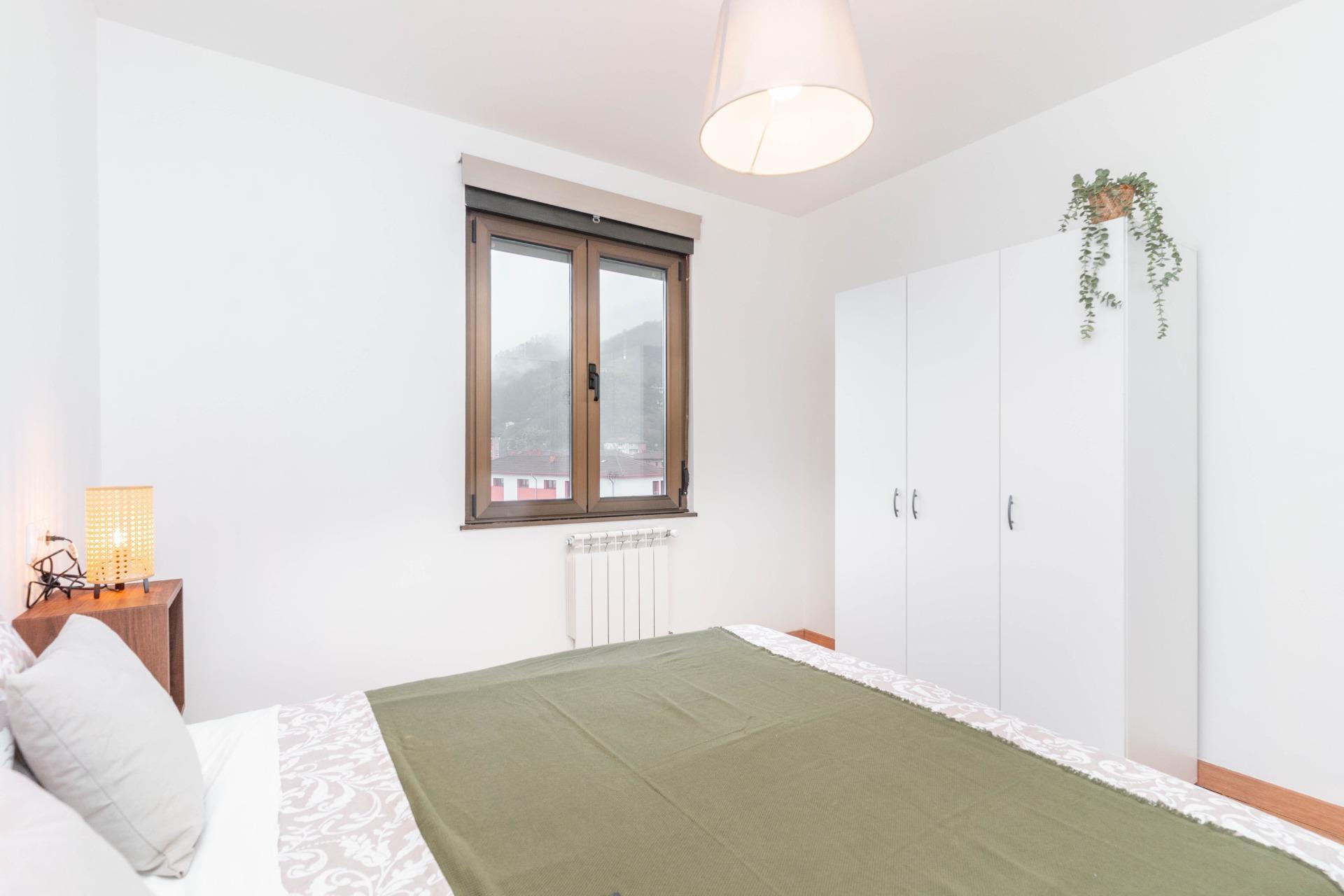 Pisos-Venta-Mieres-2016467-Foto-15