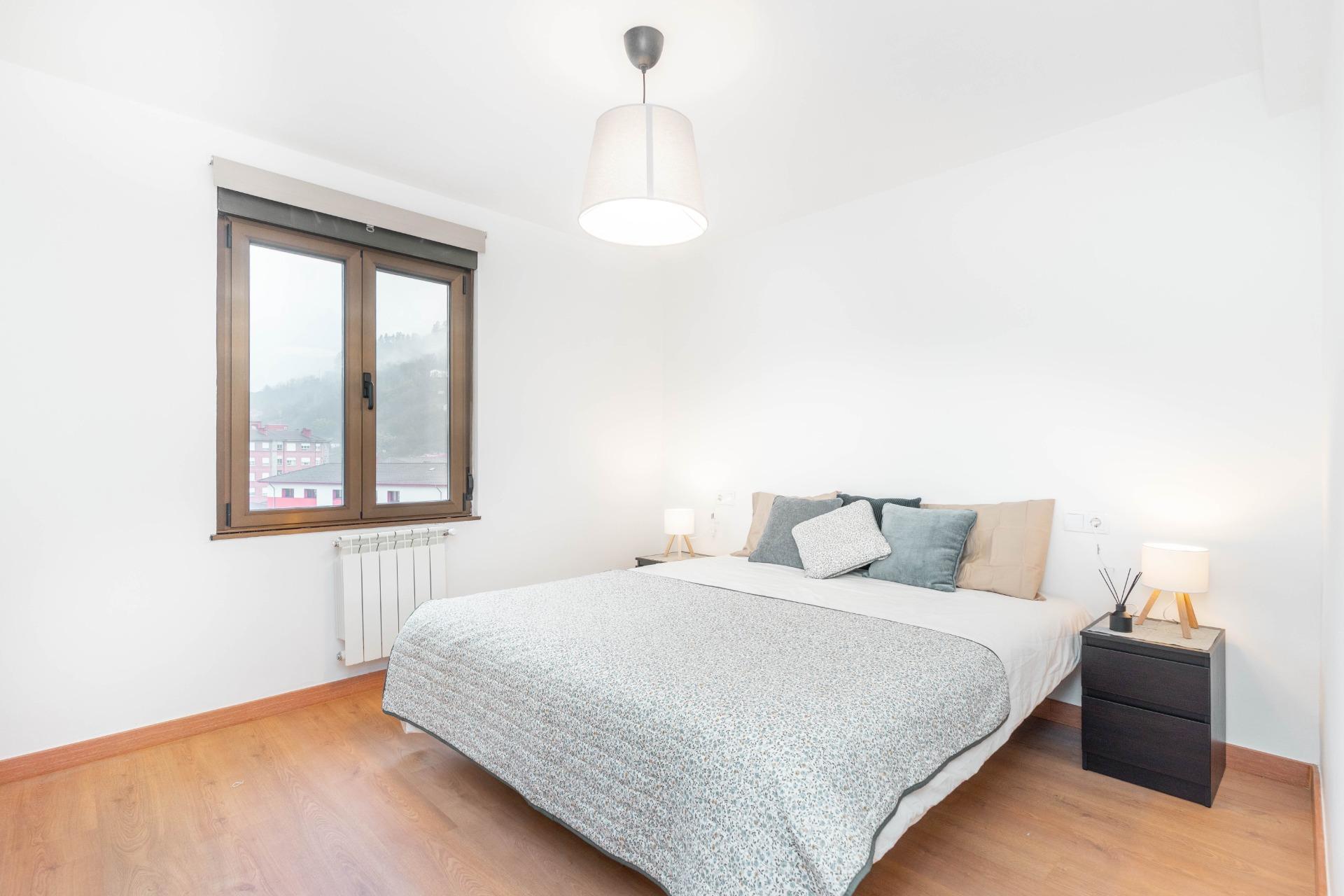 Pisos-Venta-Mieres-2016467-Foto-16