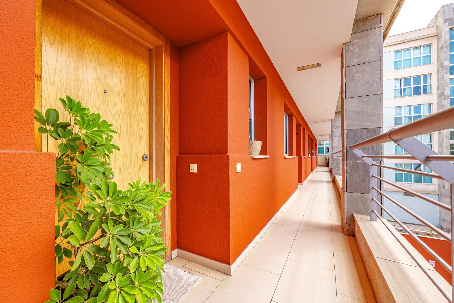 Casas o chalets-Venta-Las Palmas de Gran Canaria-2016485-Foto-4