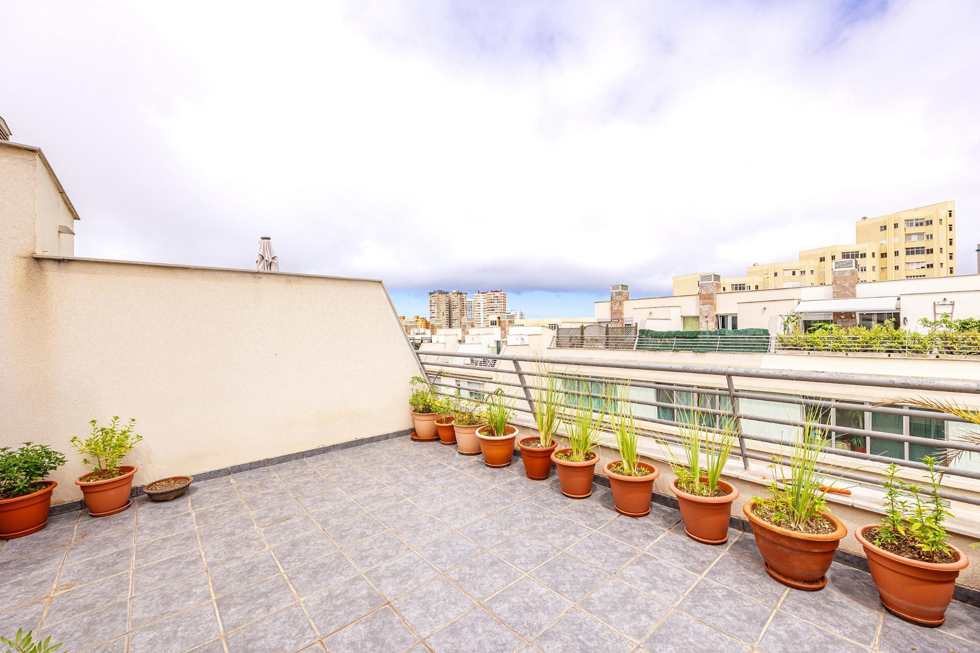 Casas o chalets-Venta-Las Palmas de Gran Canaria-2016485-Foto-33