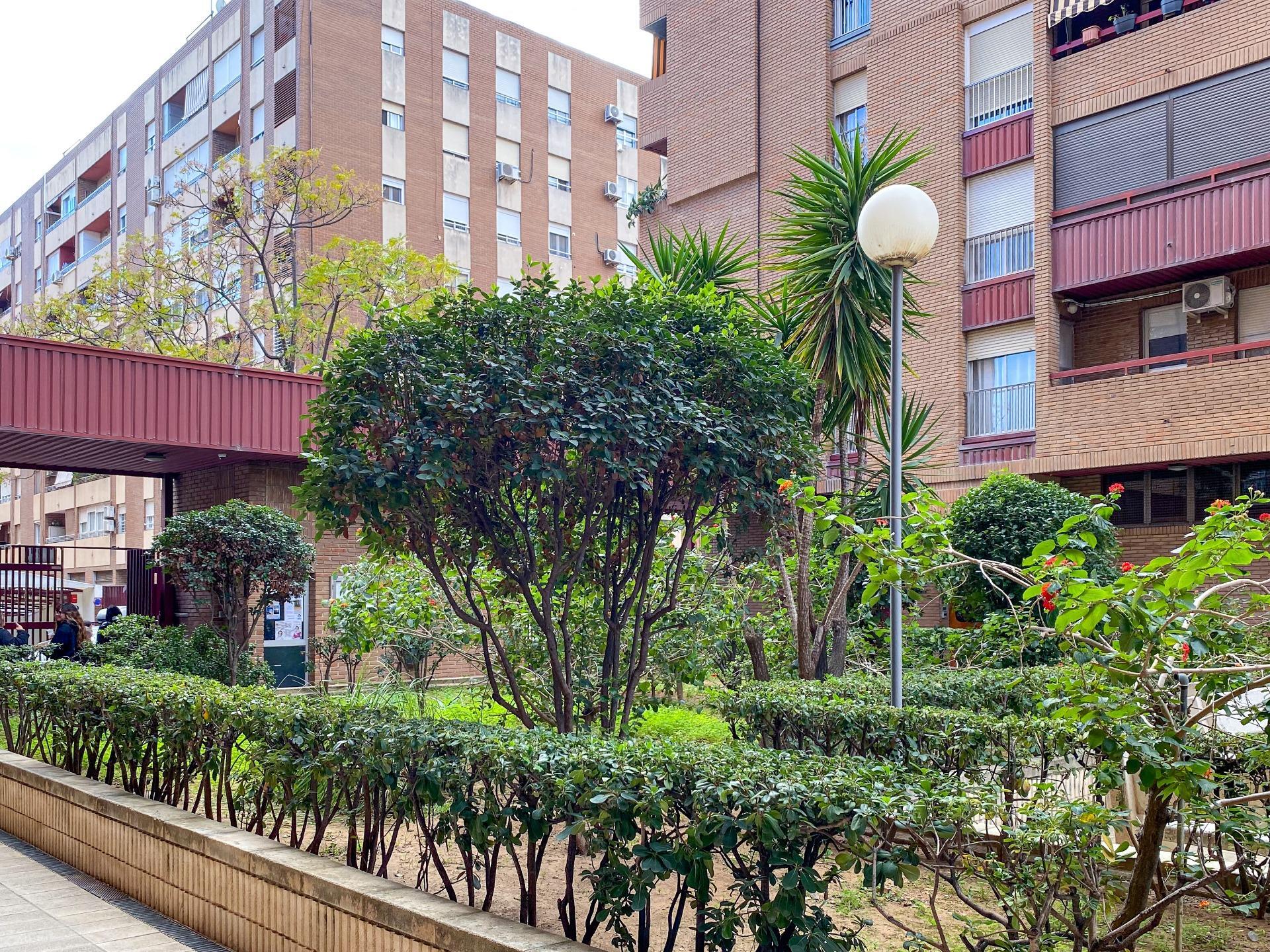 Pisos-Alquiler-Valencia-1993601-Foto-4