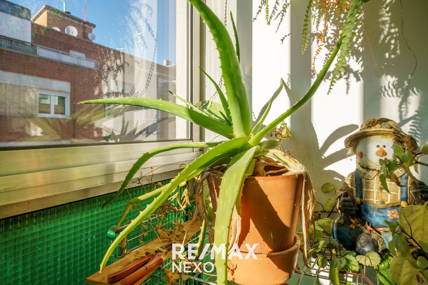 Pisos-Venta-Valladolid-2016772-Foto-44