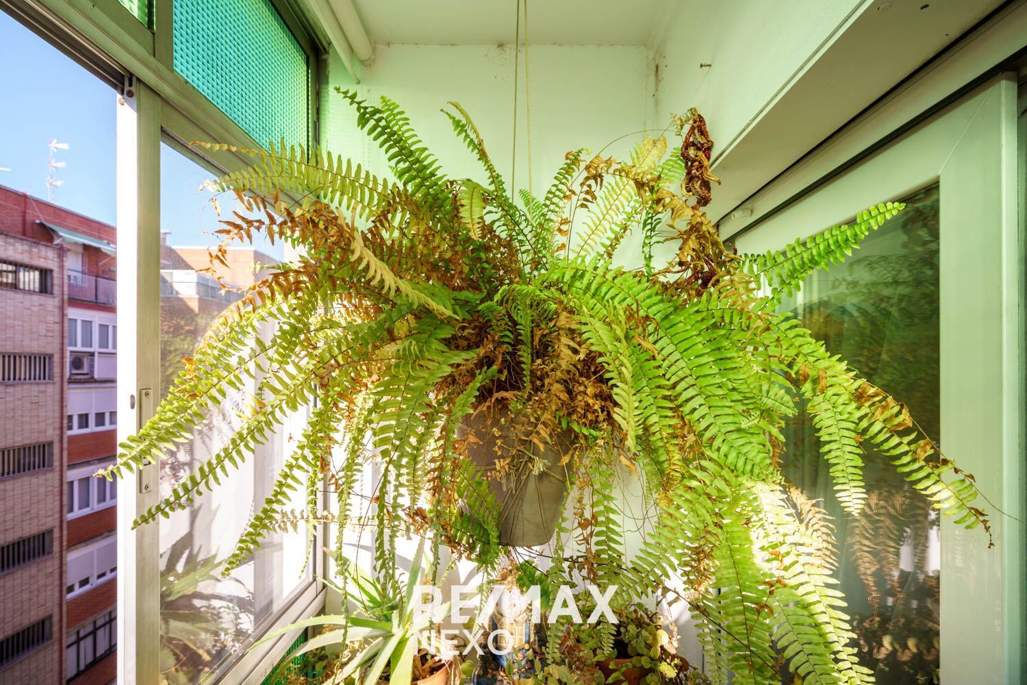 Pisos-Venta-Valladolid-2016772-Foto-43