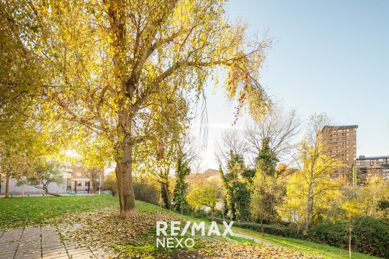 Pisos-Venta-Valladolid-2016772-Foto-60