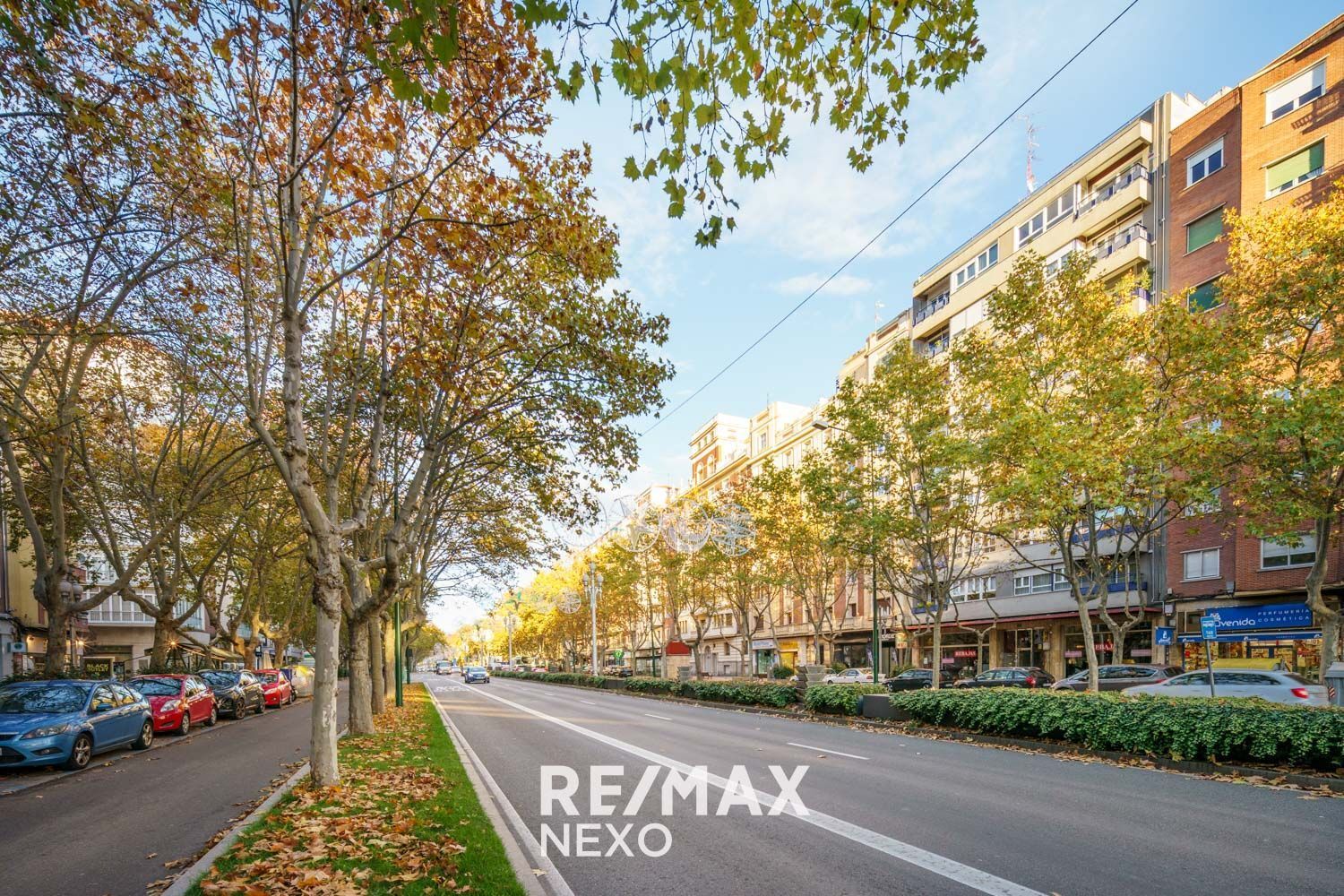 Pisos-Venta-Valladolid-2016772-Foto-63