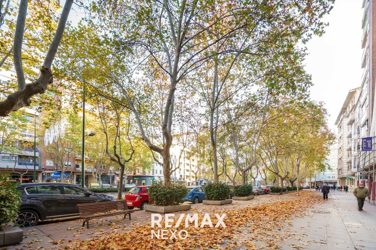 Pisos-Venta-Valladolid-2016772-Foto-62