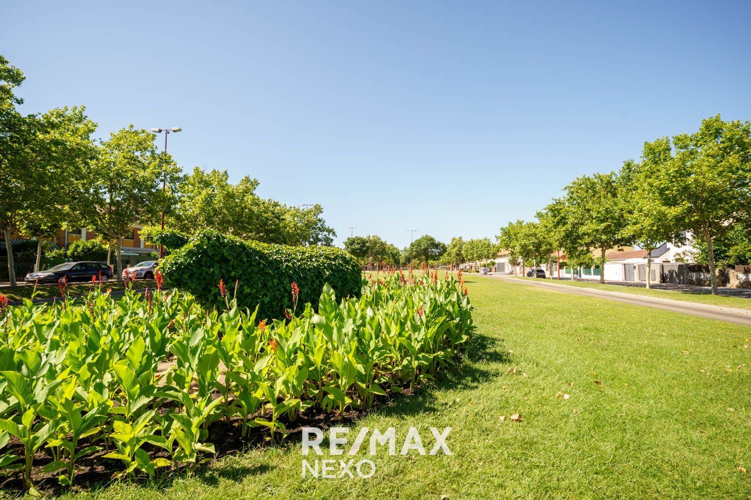 Casas o chalets-Venta-Valladolid-2016778-Foto-95