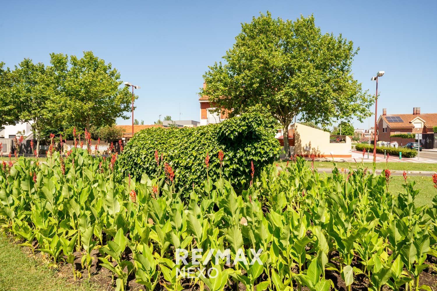 Casas o chalets-Venta-Valladolid-2016778-Foto-93