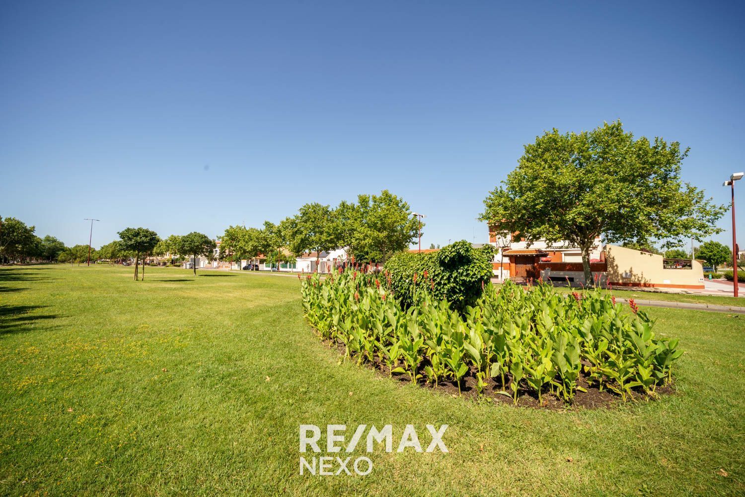 Casas o chalets-Venta-Valladolid-2016778-Foto-94