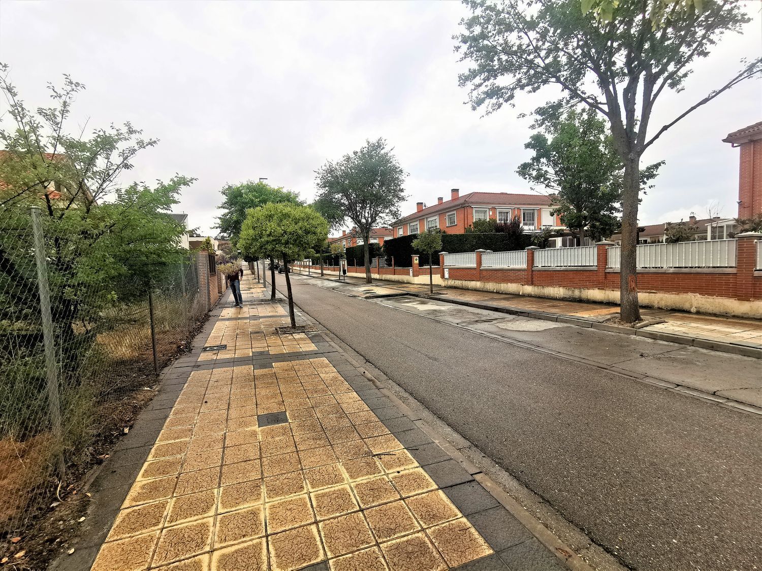 Fincas y solares-Venta-Arroyo de la Encomienda-2016784-Foto-3