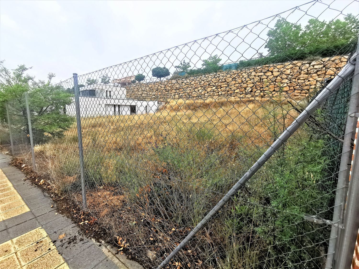 Fincas y solares-Venta-Arroyo de la Encomienda-2016784-Foto-4