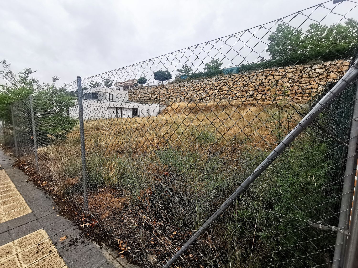 Fincas y solares-Venta-Arroyo de la Encomienda-2016784-Foto-5