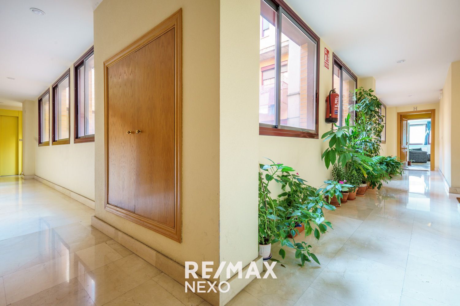 Pisos-Venta-Valladolid-2016787-Foto-3