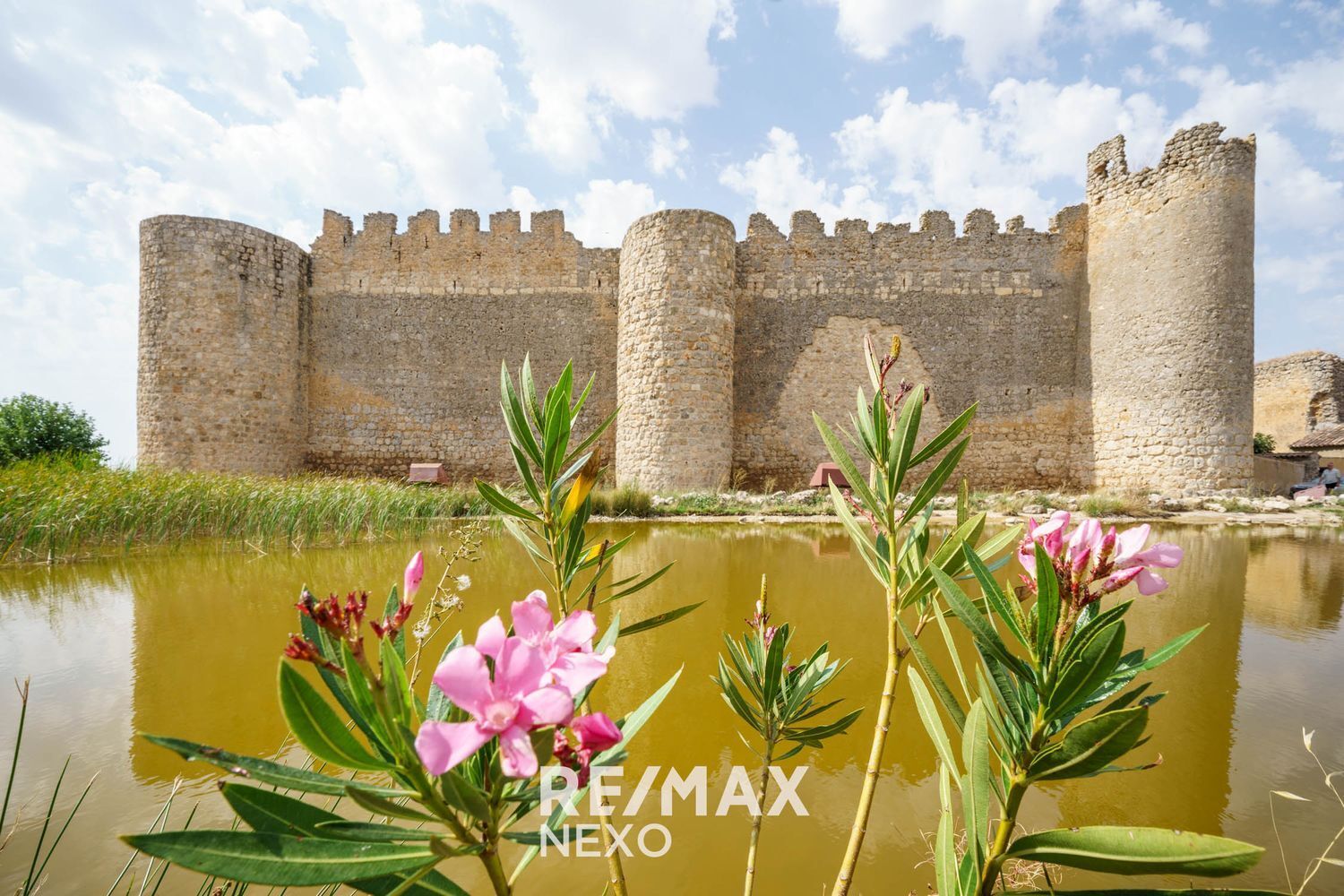 Casas o chalets-Venta-UrueÃ±a-2016805-Foto-94