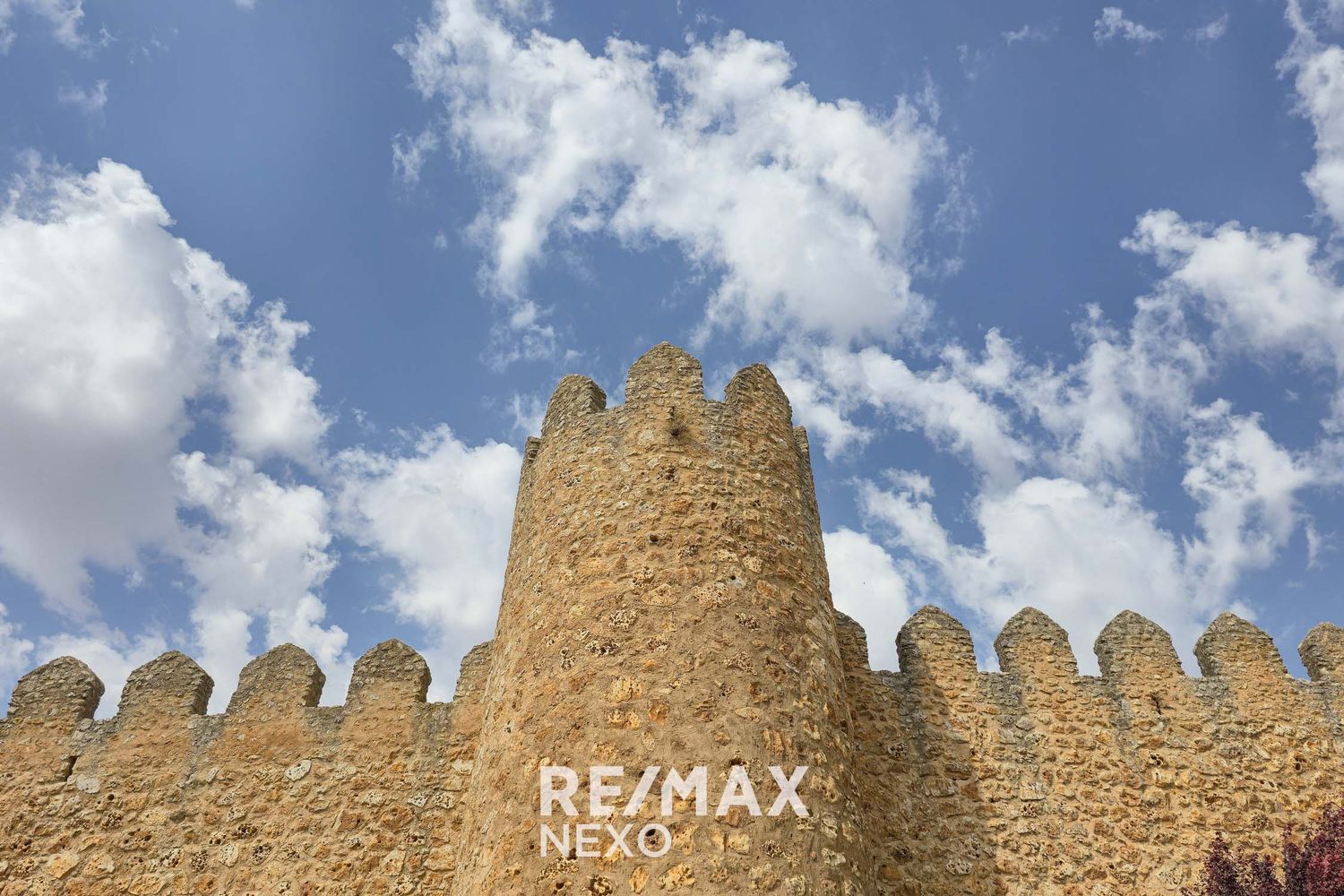 Casas o chalets-Venta-UrueÃ±a-2016805-Foto-98