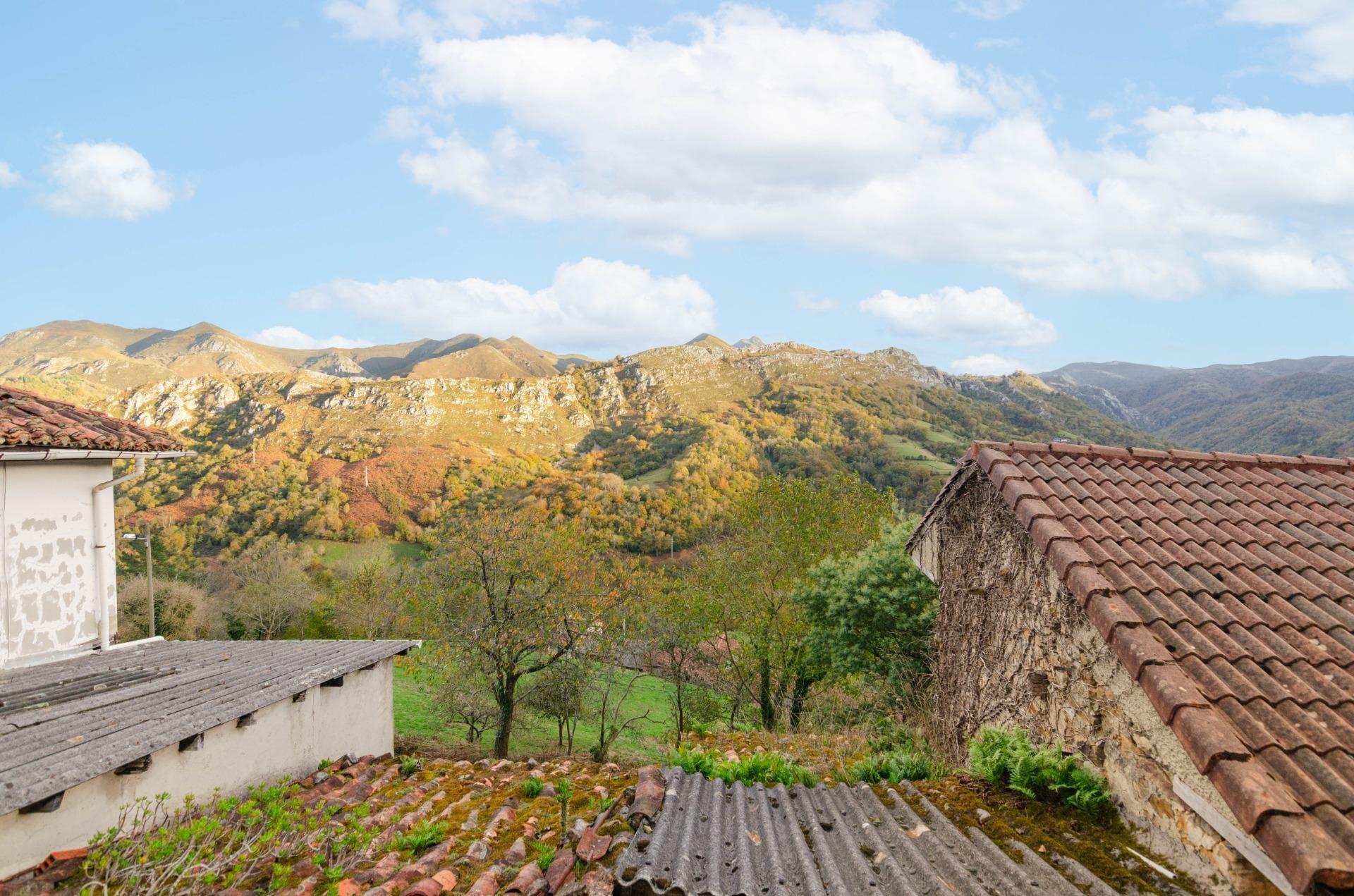 Casas o chalets-Venta-PiloÃ±a-1993598-Foto-36