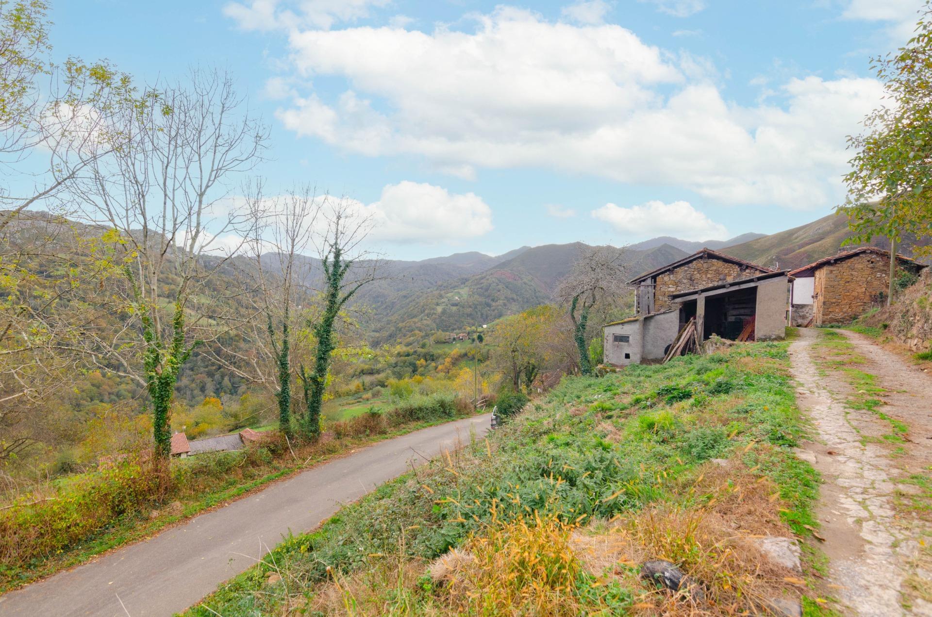 Casas o chalets-Venta-PiloÃ±a-1993598-Foto-40