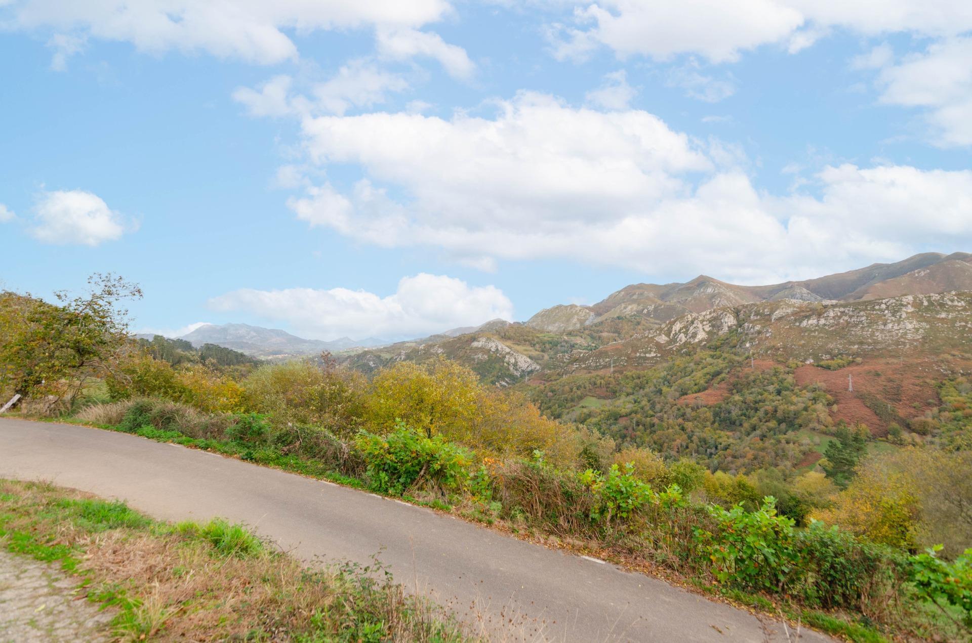 Casas o chalets-Venta-PiloÃ±a-1993598-Foto-39