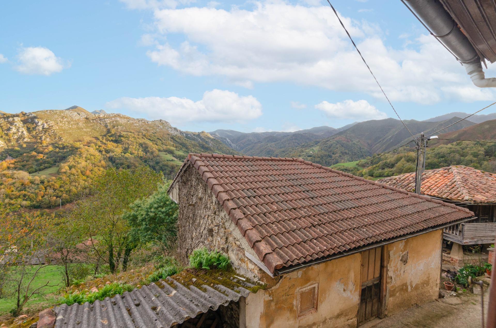 Casas o chalets-Venta-PiloÃ±a-1993598-Foto-37