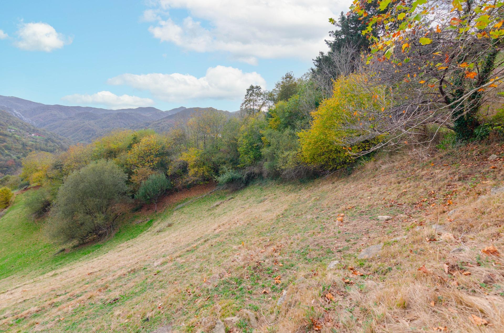 Casas o chalets-Venta-PiloÃ±a-1993598-Foto-45