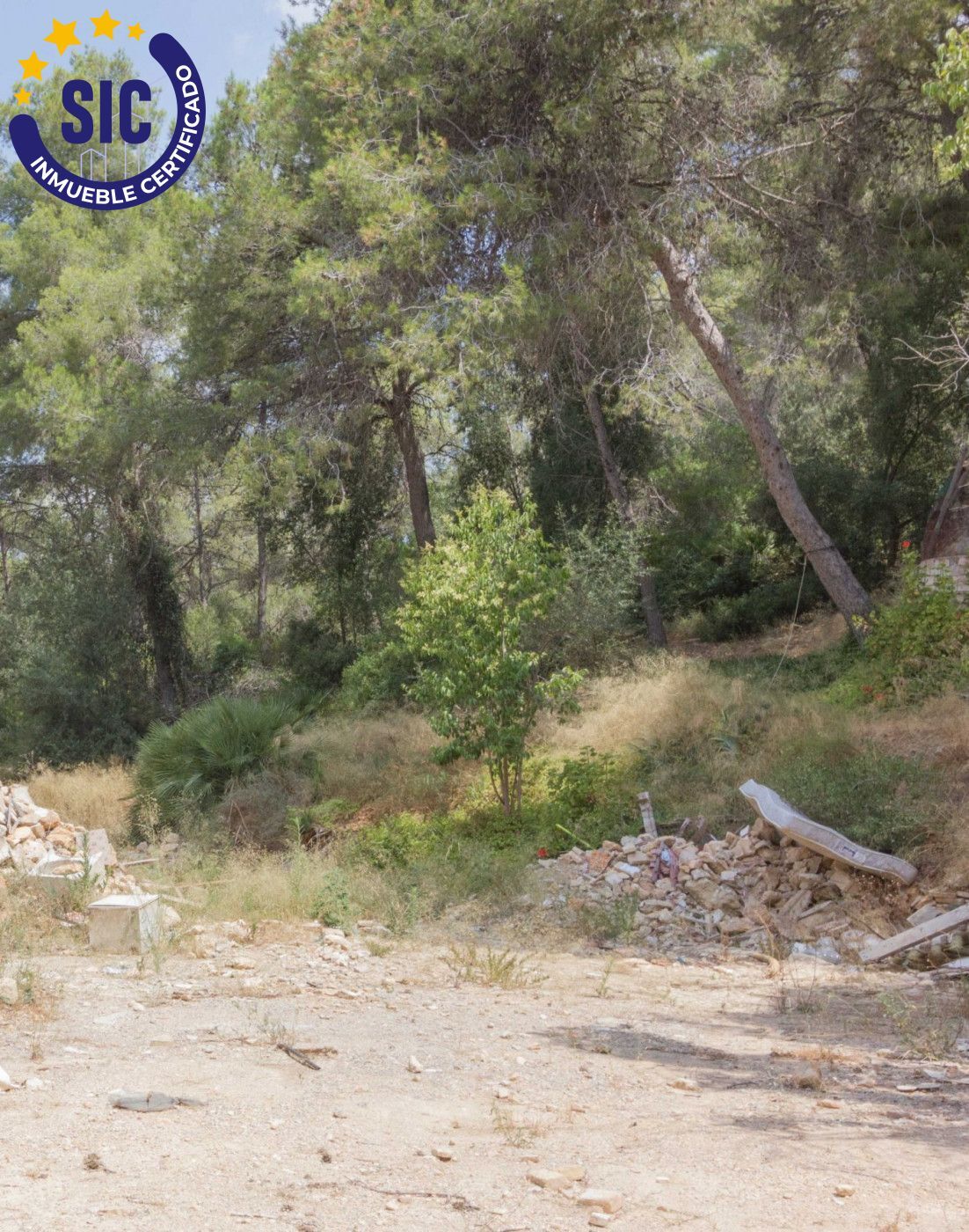 Fincas y solares-Venta-Godelleta-456797-Foto-5