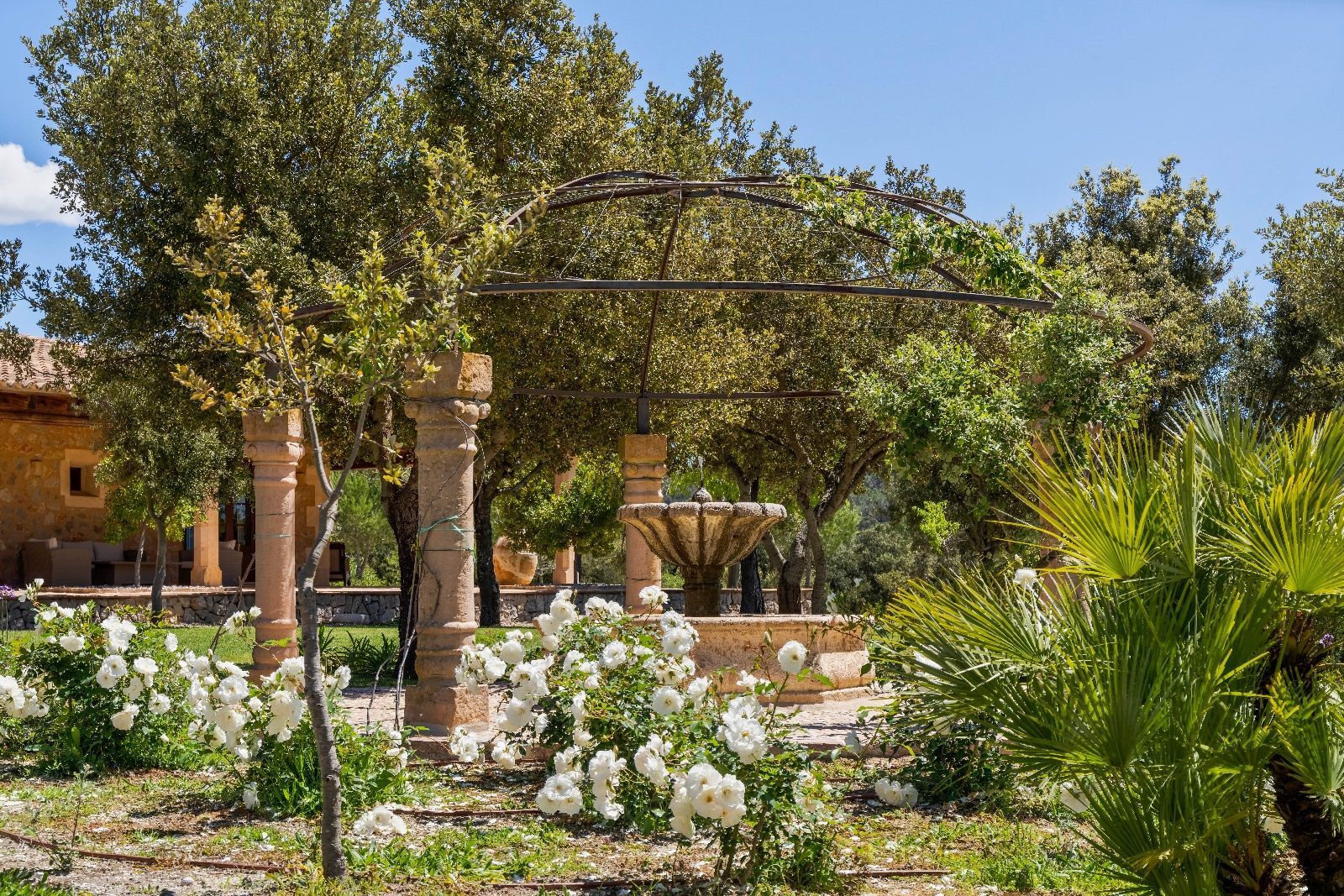 Pisos-Venta-Campanet-2019500-Foto-68