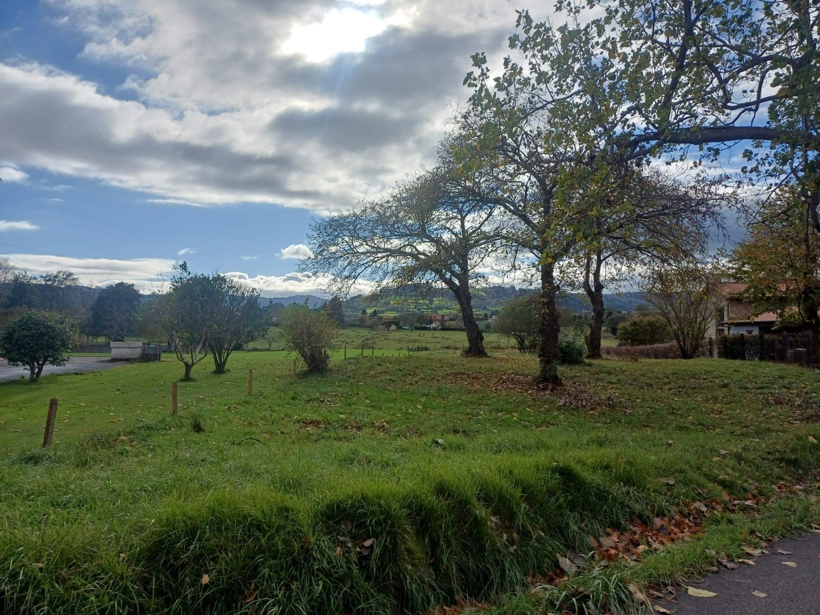 Fincas y solares-Venta-Villaviciosa-2019521-Foto-15