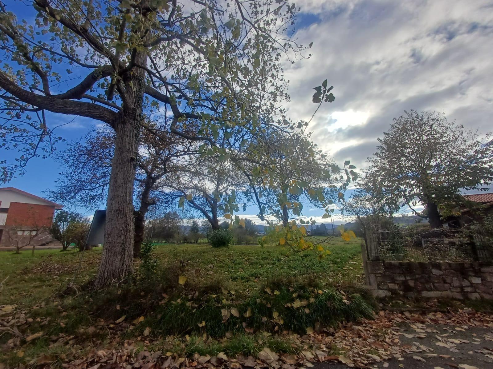 Fincas y solares-Venta-Villaviciosa-2019521-Foto-16