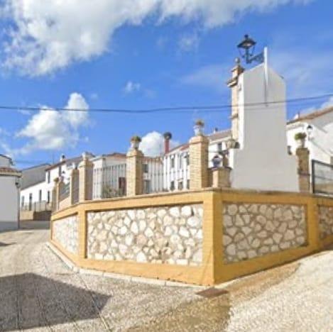 Pisos-Venta-Aracena-1972556-Foto-11