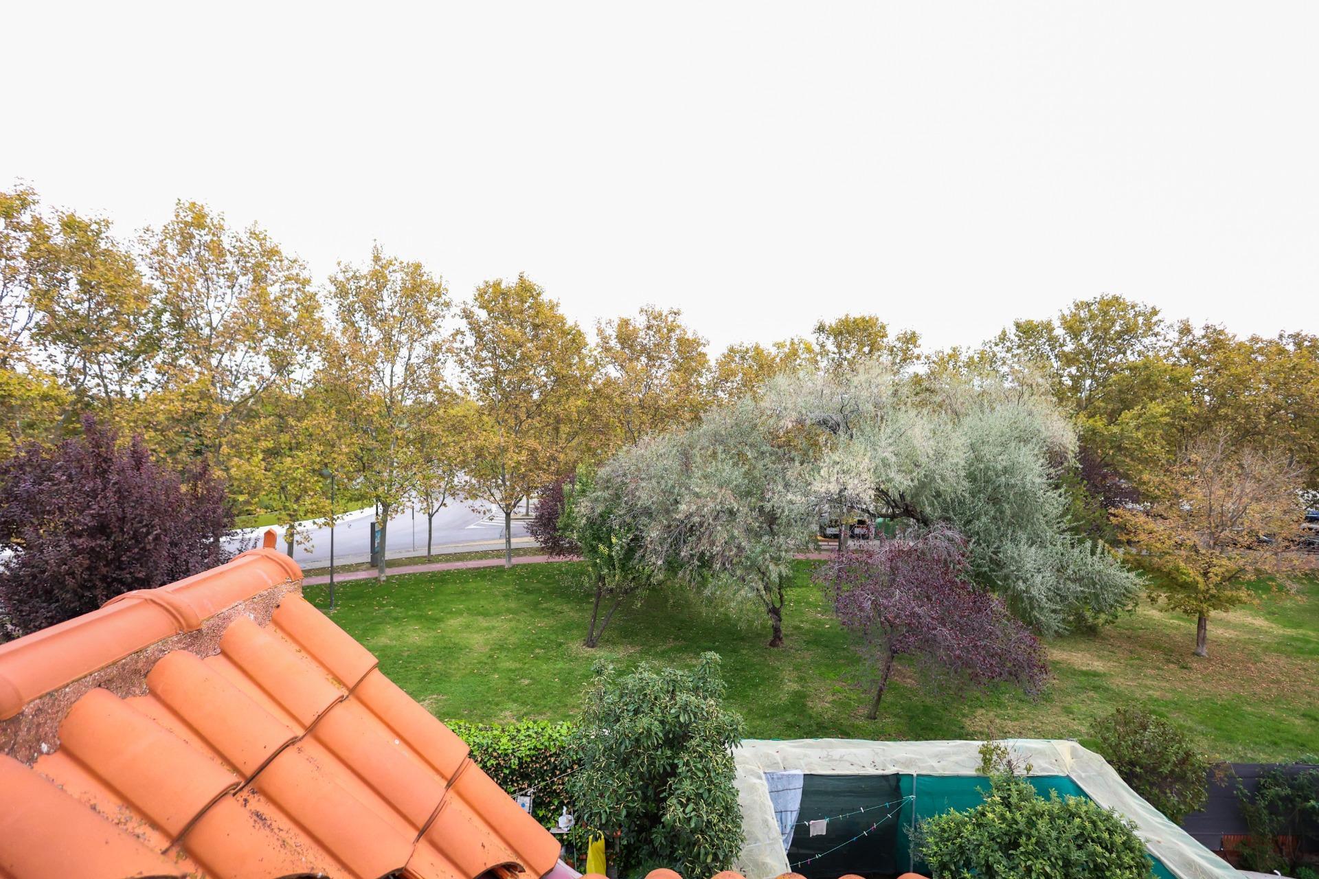 Casas o chalets-Venta-Madrid-2016095-Foto-8