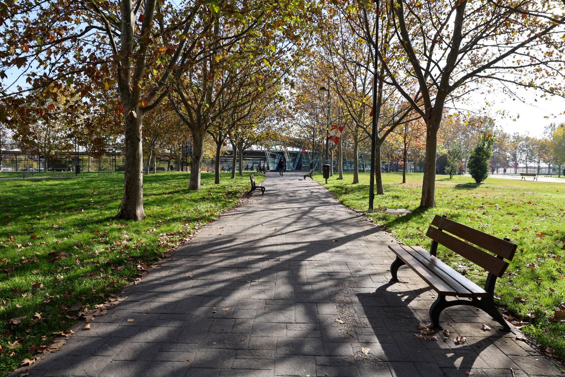 Casas o chalets-Venta-Madrid-2016095-Foto-56