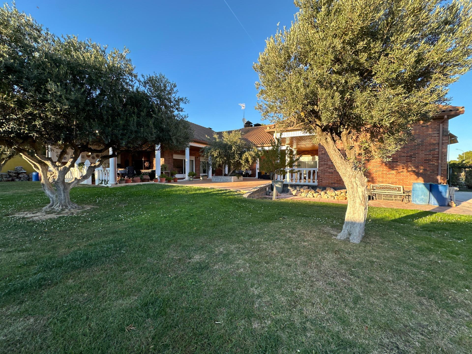 Casas o chalets-Venta-Zaragoza-2009099-Foto-73