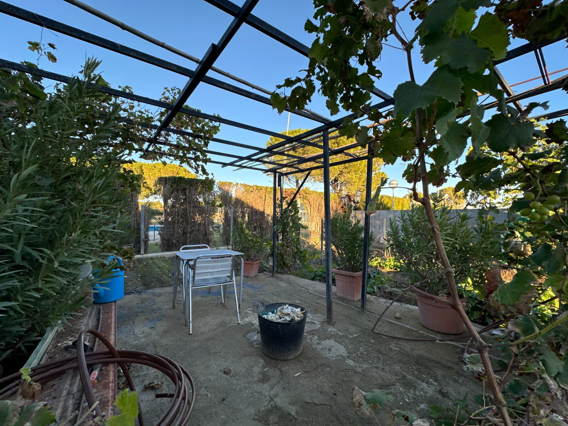 Casas o chalets-Venta-Zaragoza-2009099-Foto-86