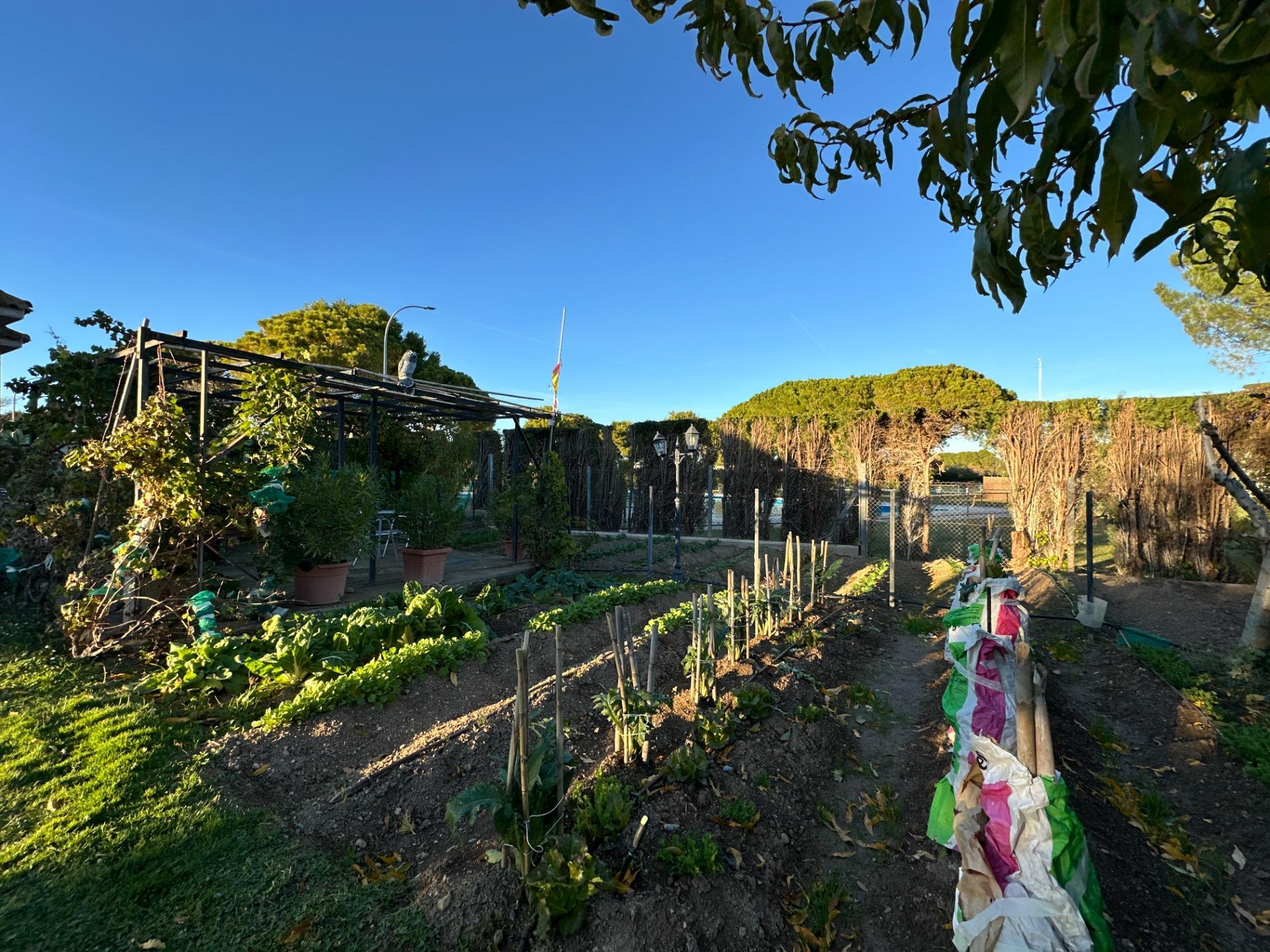 Casas o chalets-Venta-Zaragoza-2009099-Foto-85