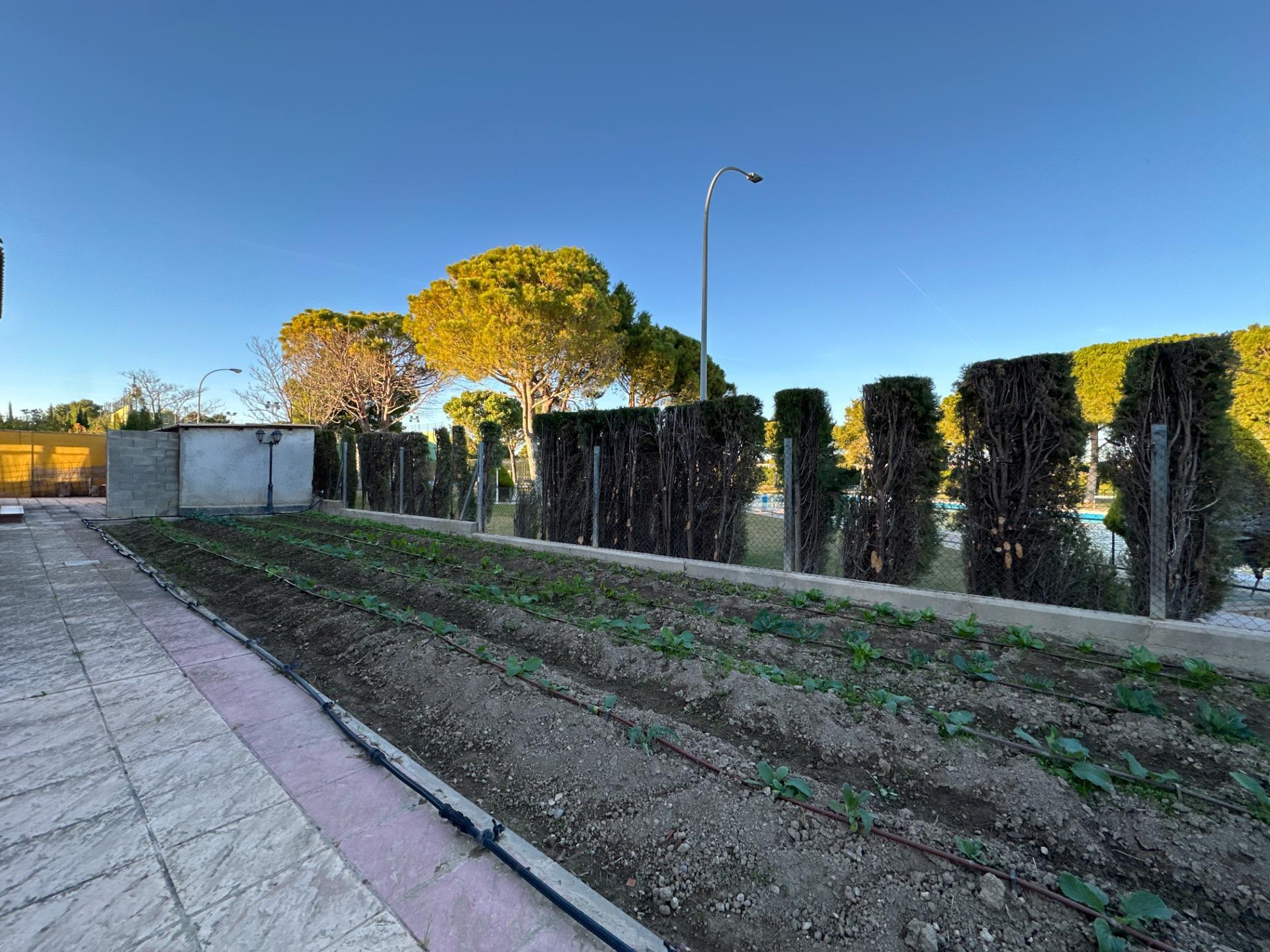 Casas o chalets-Venta-Zaragoza-2009099-Foto-87