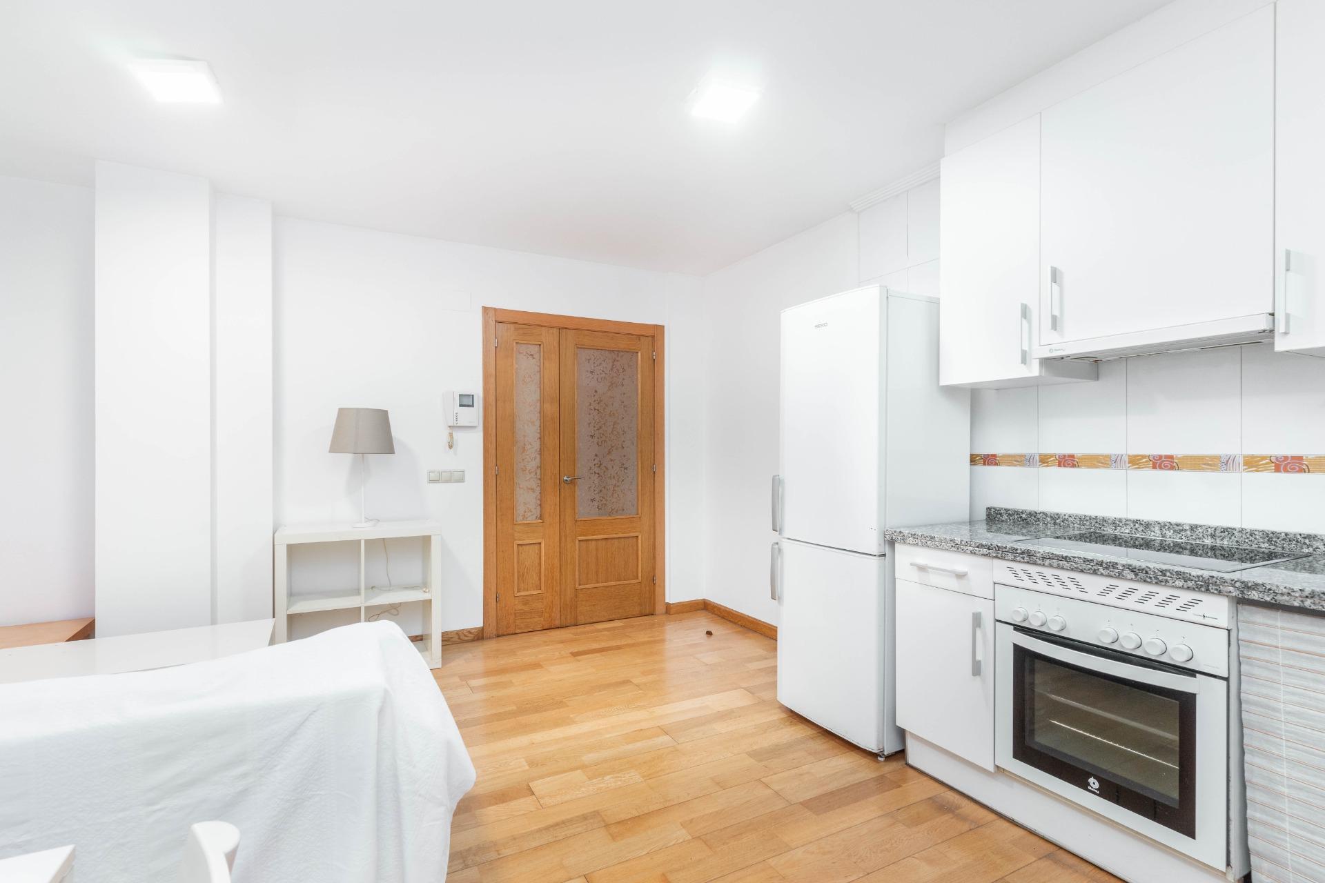 Pisos-Venta-Mieres-2019554-Foto-2